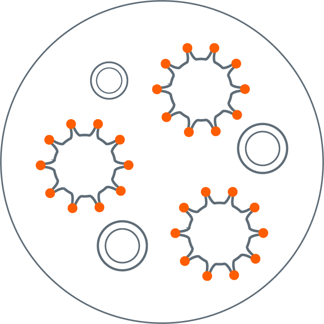 Hematopoietic Cell Transplantation