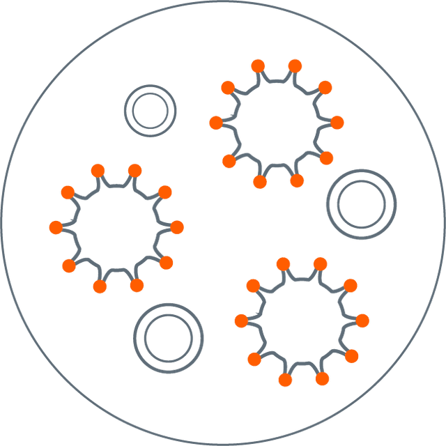 Hematopoietic Cell Transplantation